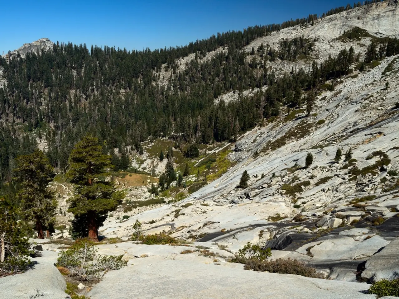 Exploring the Loftiest Summits: An Expert Survey of the Earth's Most Magnificent Peaks and Beyond