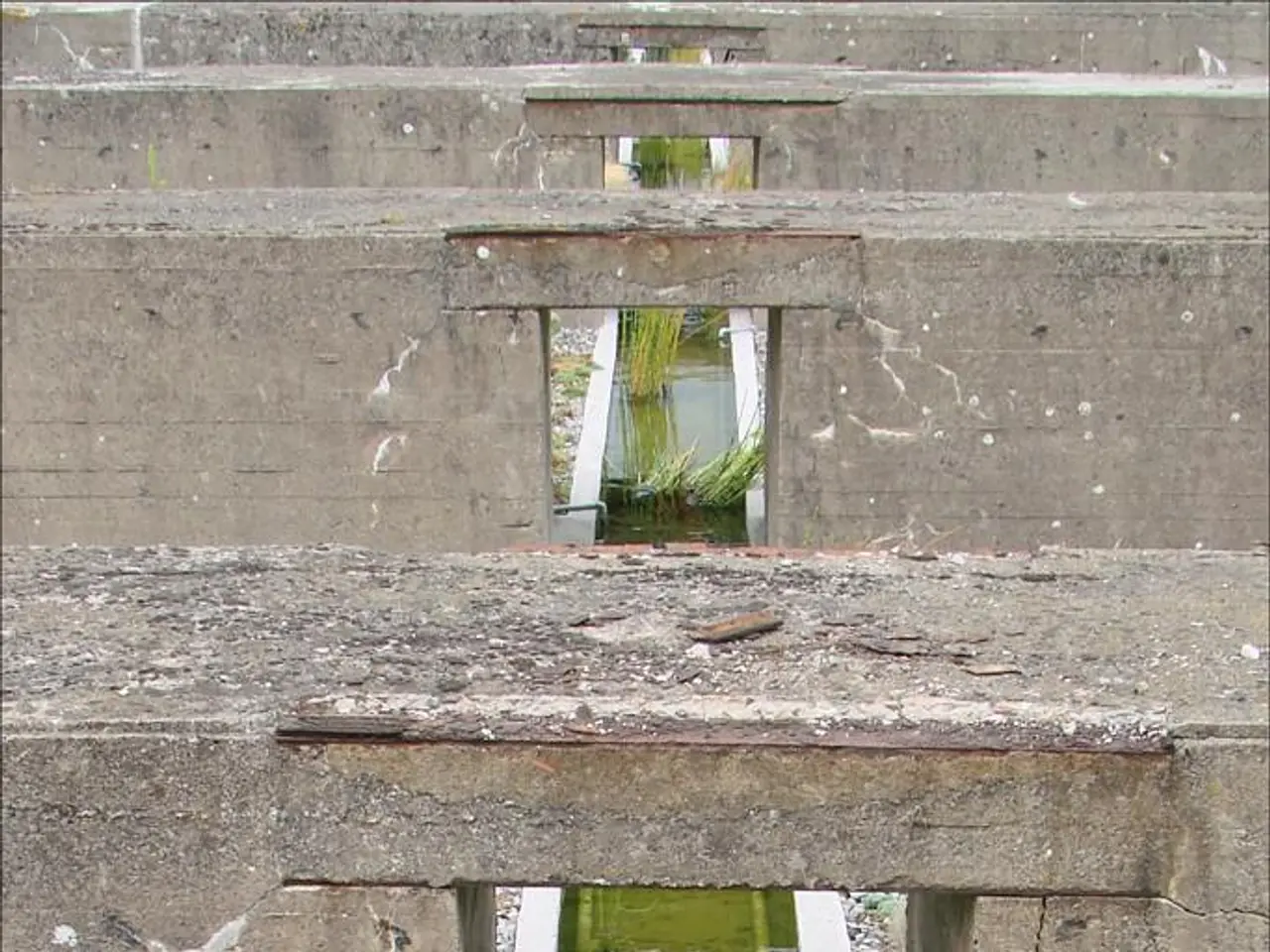 Investment inflow at Pepenode.io: Over $1.2 million gathered during the pre-sale stage