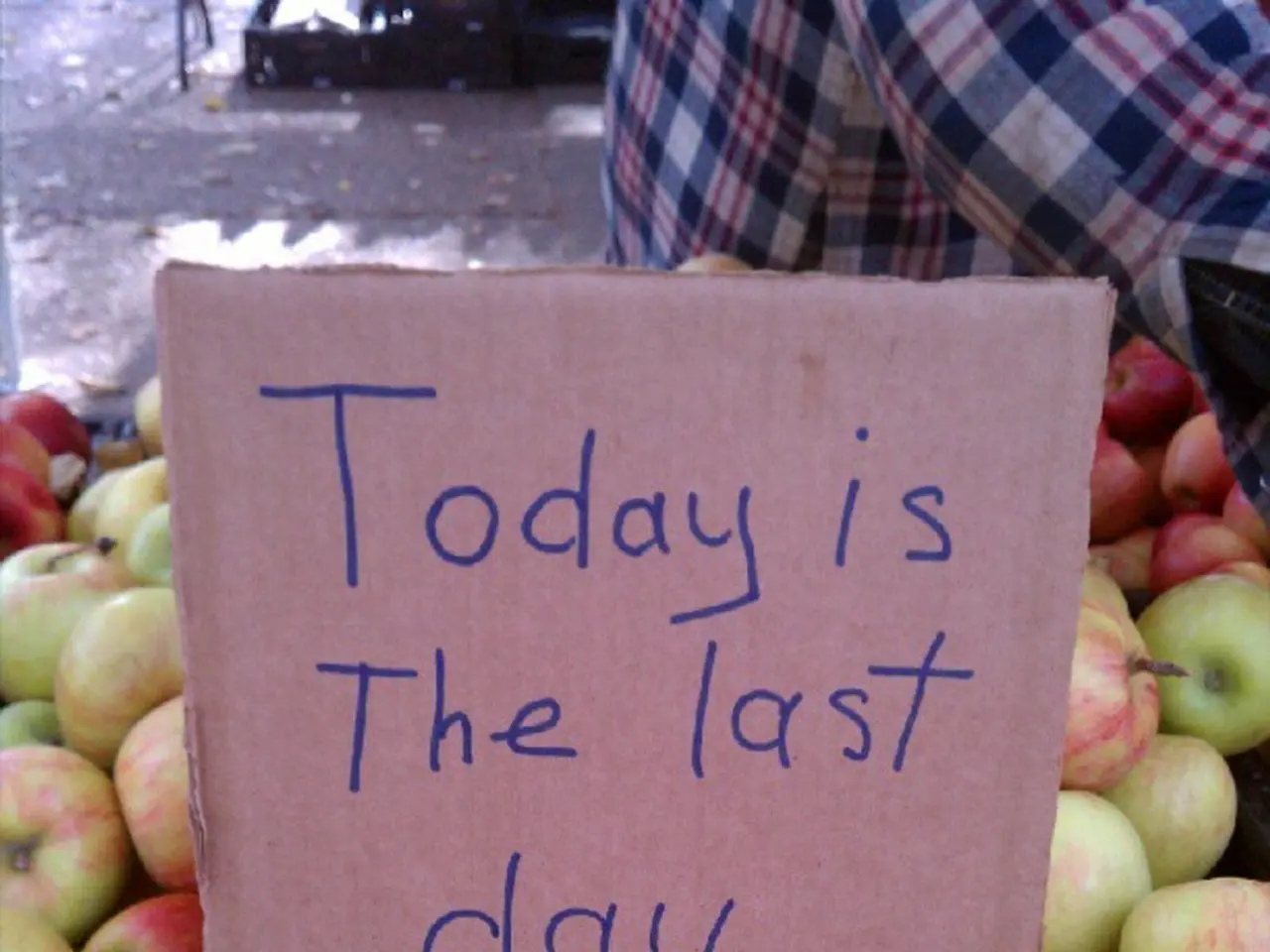 Security Update Analysis for Microsoft and Adobe's November 2024 Patch Tuesday