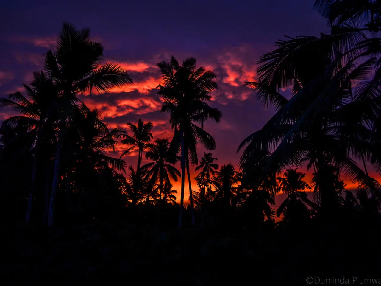 Moon-howling game creator Evoplay unveils atmospheric new game titled Lunar Wilds