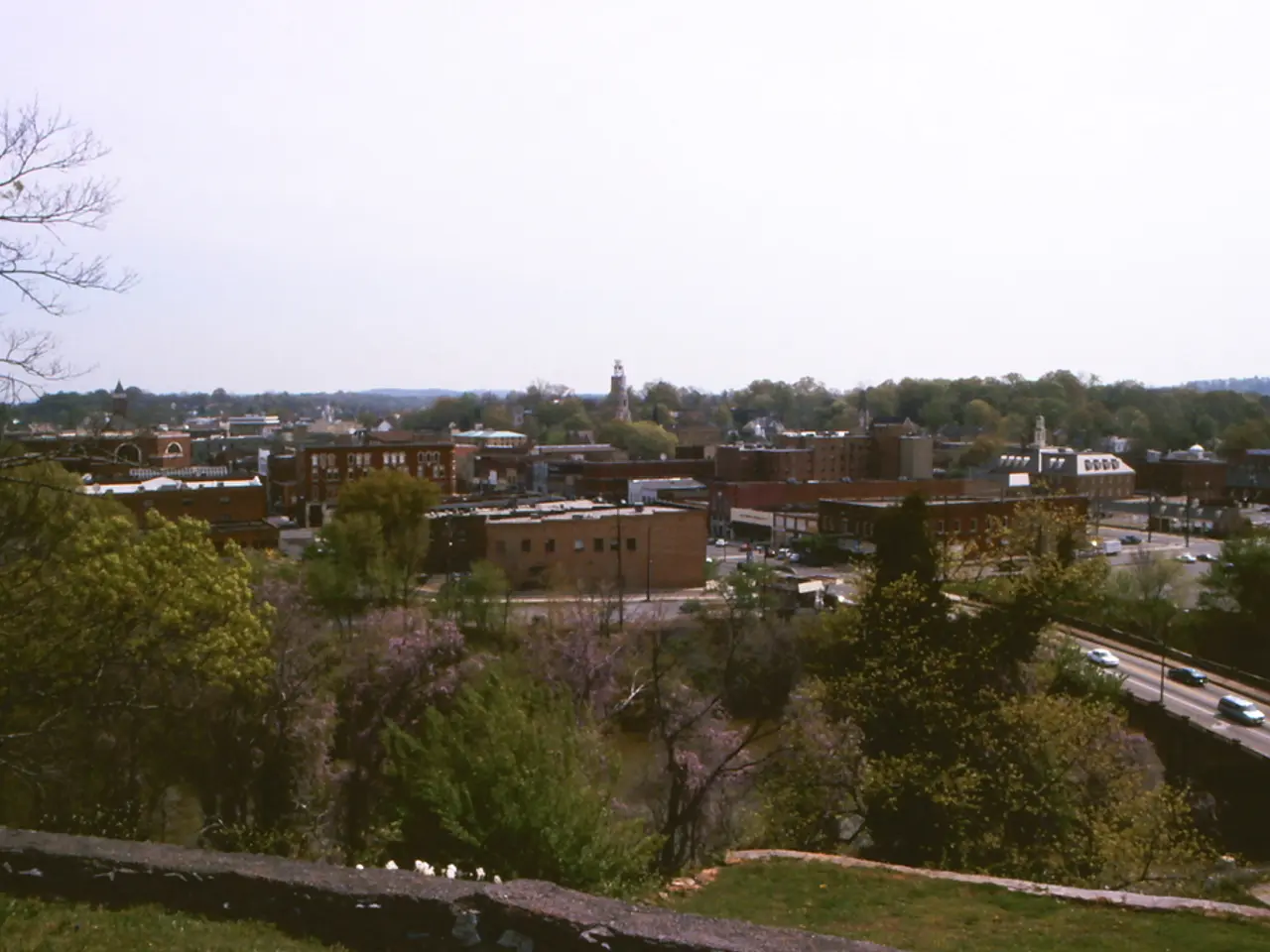 Showcasing Urban Divides in American Political Ideologies