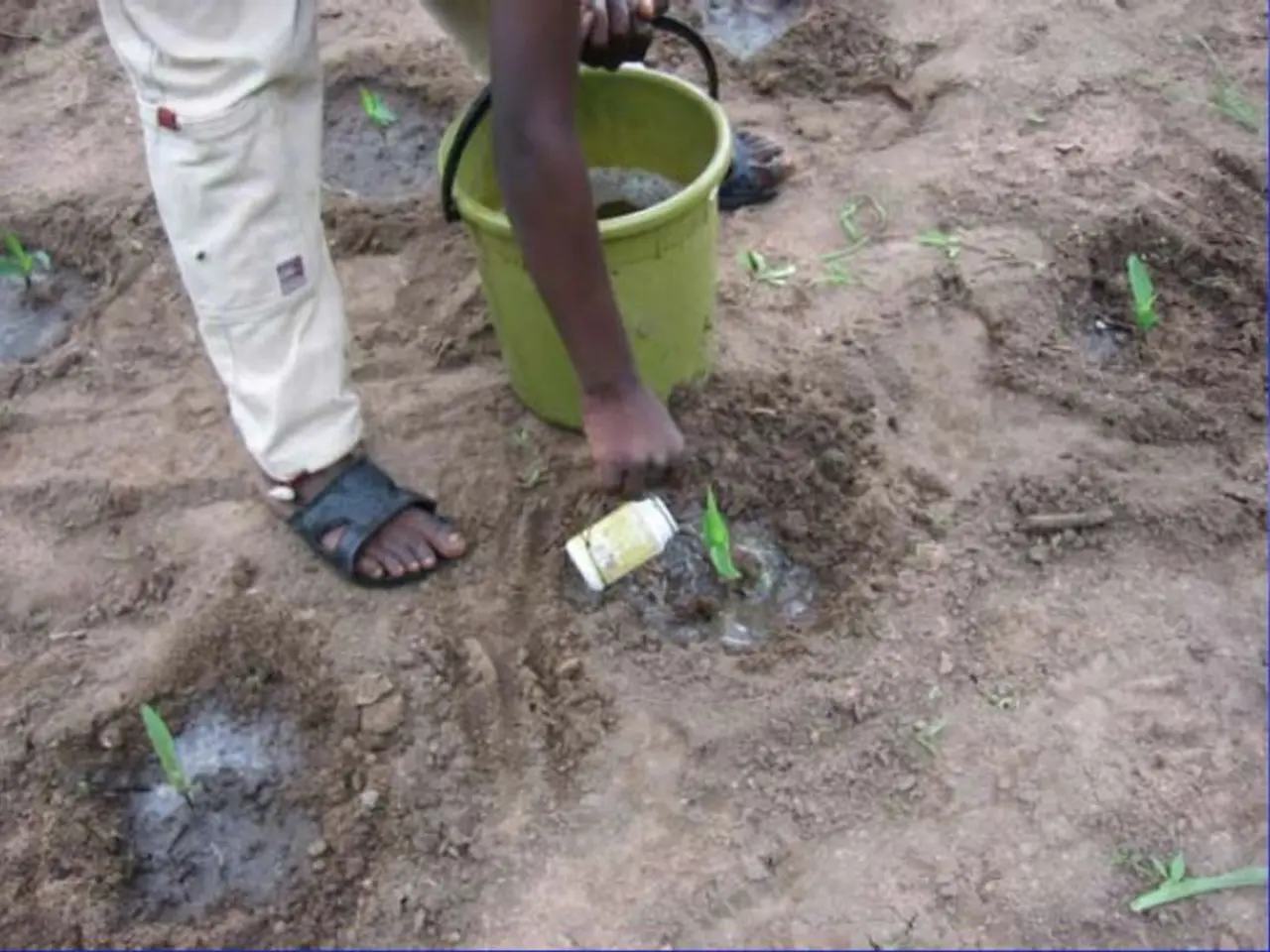 In this picture there is a person standing and holding the bucket and bottle. At the bottom there...