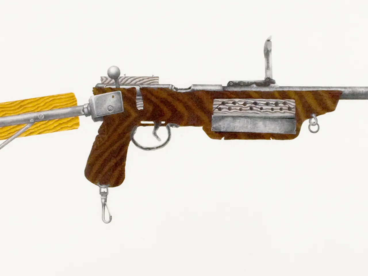 In this image we can see the picture of a gun.