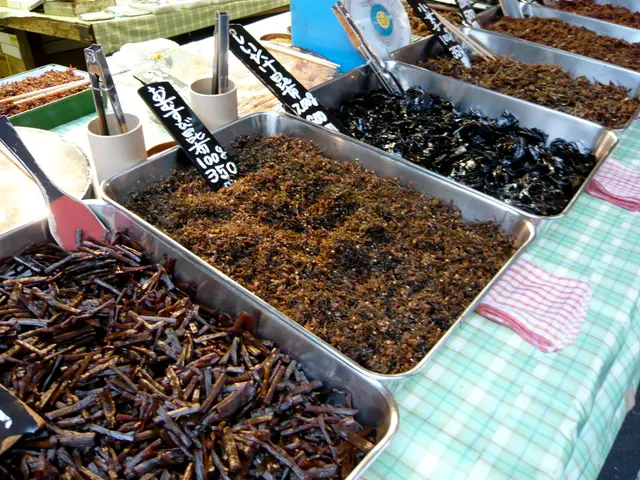 Various Sort of Freight Containers Employed Nowadays!