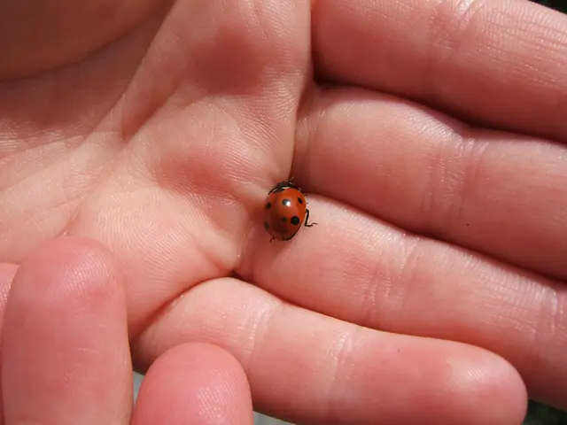 Dbrand Addresses Criticism Over Killswitch Switch 2 Issue, Vows Correction