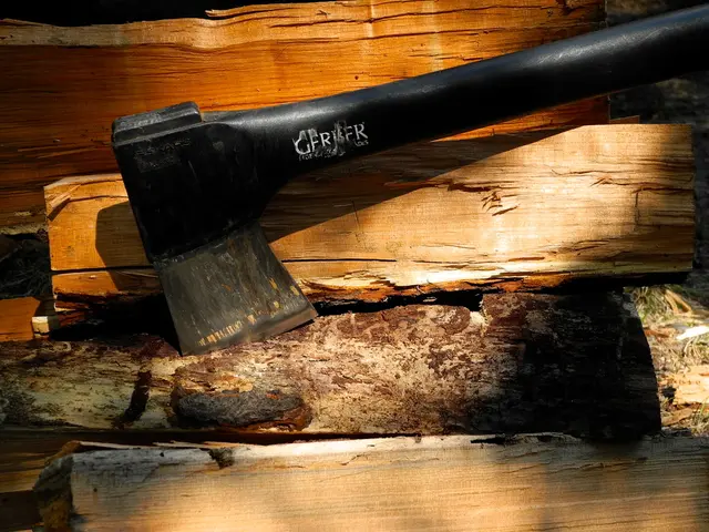 Bremen's Internal Senator, Maurer, eliminates approximately two metric tons of weaponry.