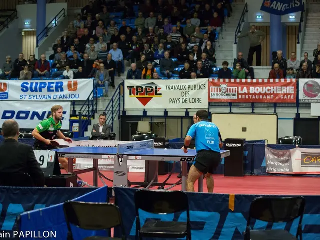 Transformed Sports Arena: Pioneering Competitive and Leisurely Pursuits