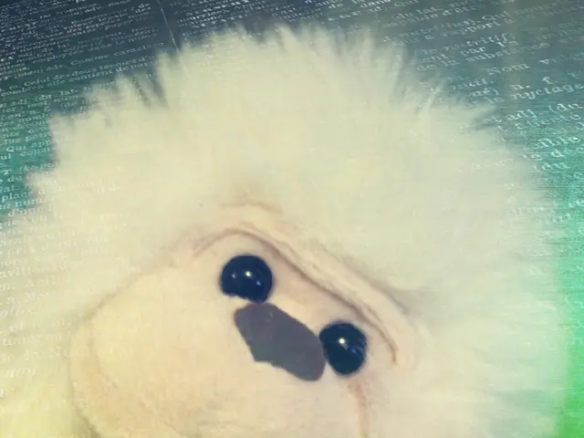 Removing TikTok Watermark on Videos for Free: A Practical Guide