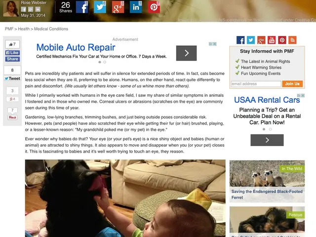 Leveraging Quizzes and Surveys to Boost Ad Income from Websites