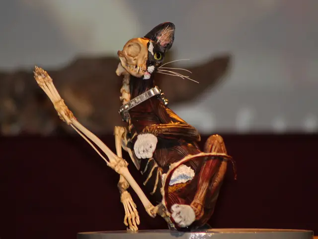 Accelerating the Process: Creating 3D Models from Images in Mere Minutes Instead of Hours