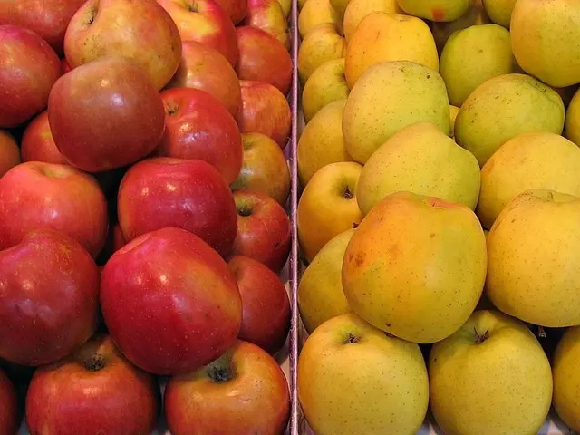Apple Poised for Greatness: Could it be a Slumbering Titan?