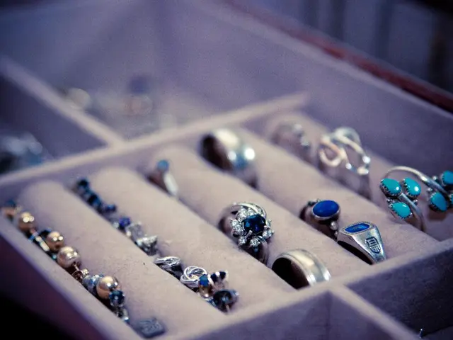 High-End Smart Jewelry Market Projected to Reach USD 856.2 Million by 2034, Growing at a Compound...