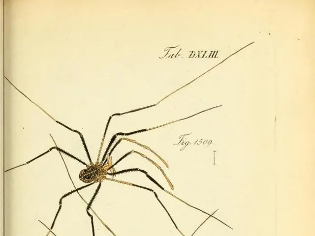 Spider species exhibit cannibalistic behavior, with the cause potentially catching users off guard