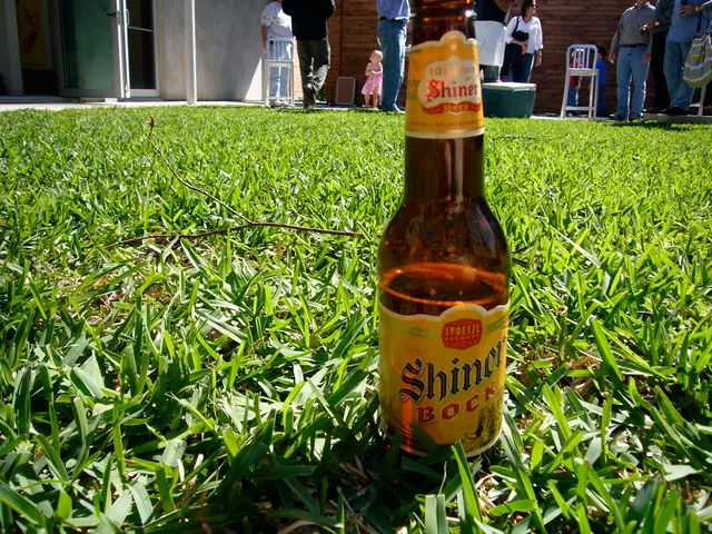 Brewing a New Zealand-style Pilsner Utilizing Pagan Brewing Methods