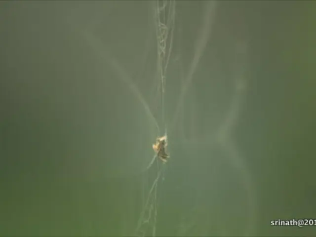 Security Strategies for Websites in 2023: A Comprehensive Guide