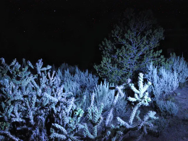 Four-channel installation on the 4MOST telescope, titled "The Fantastic Four," captures space photo...