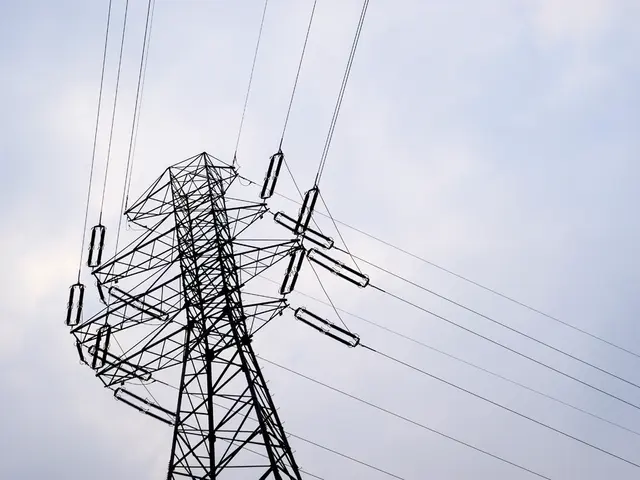 Issuefound in Musk's satellite network.