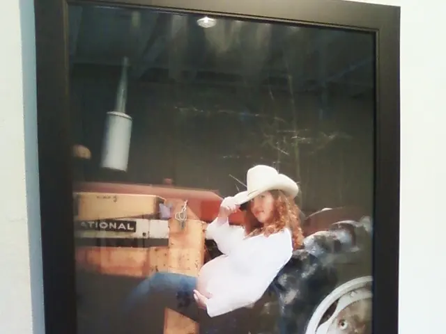 Investigating Visual Styles and Patterns in Designing Websites Using Images