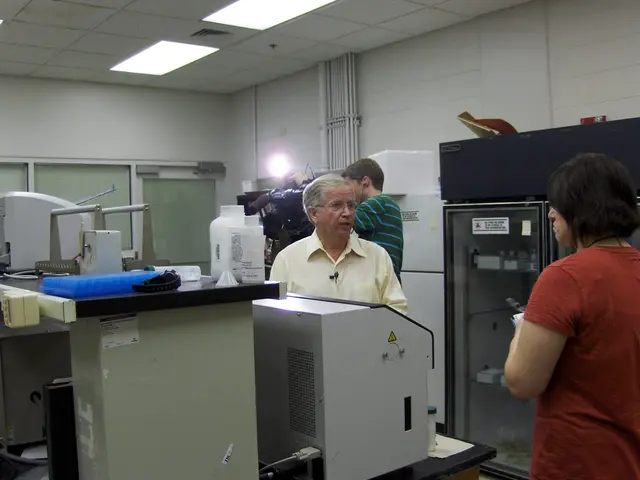 Instant Conversion Technique: Transform WMV into MP4 Right Away