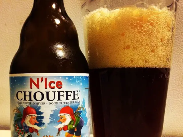 Enhancing Brewing Artistry: Detailed Filtration Methods Guaranteeing Flawless Beer