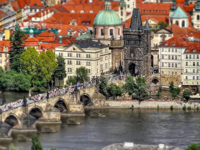 MultiChoice Refuses to Accept CANAL+'s Purchase Proposal - More African-Related Headlines