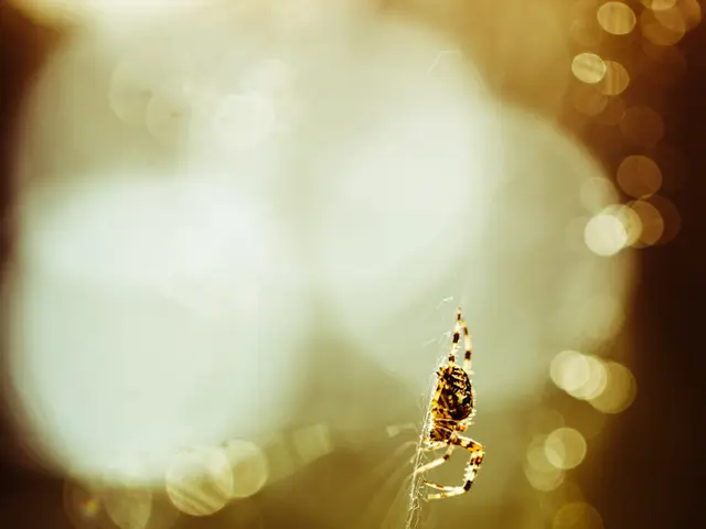 Concealed Expenses incurred due to a subpar Web Design