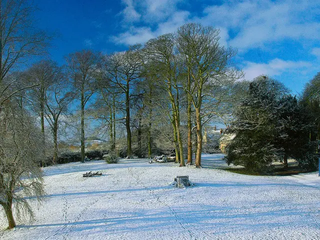 Effortlessly Transferring Data from Oracle to Snowflake: A Guide