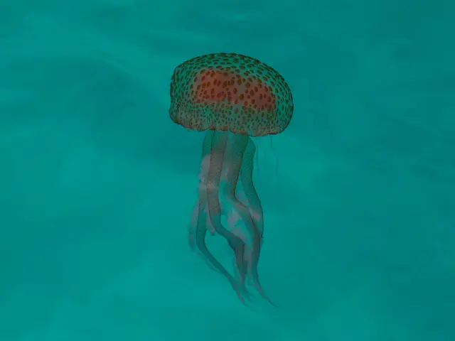Aerial Behavior of the Jellyfish-like UAP: Stays afloat, plunges into water, and swiftly rises