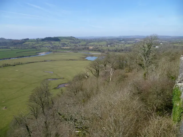 Revolutionizing Brewing: The Transformative Impact of Contemporary Hop Cultivation on the Beer...