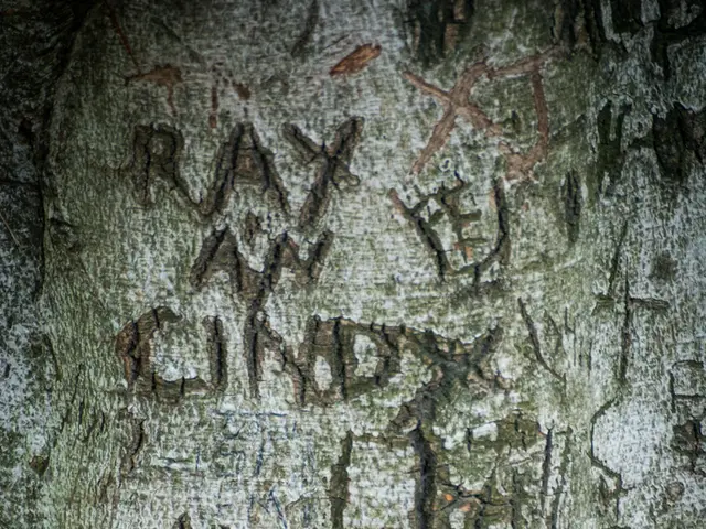 Current Offers on Tesla Vehicles Across the United States