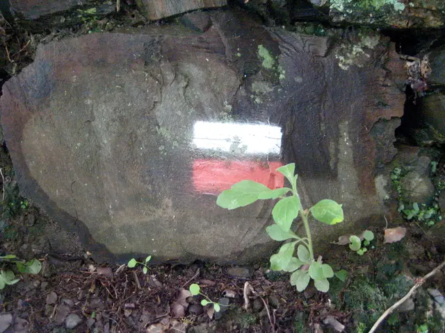 Utah's Own Red Beryl: Mineral Rarity from the United States