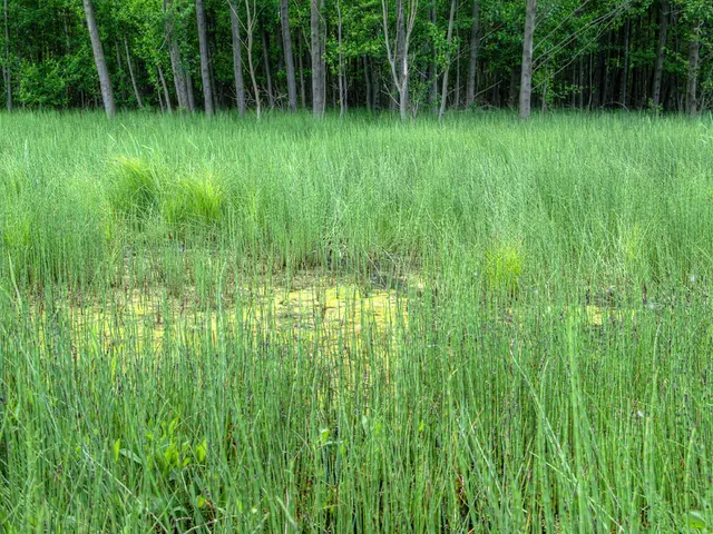 Agriculture technology adoption falters... and how a Minimum Viable Ecosystem (MVE) could rectify...