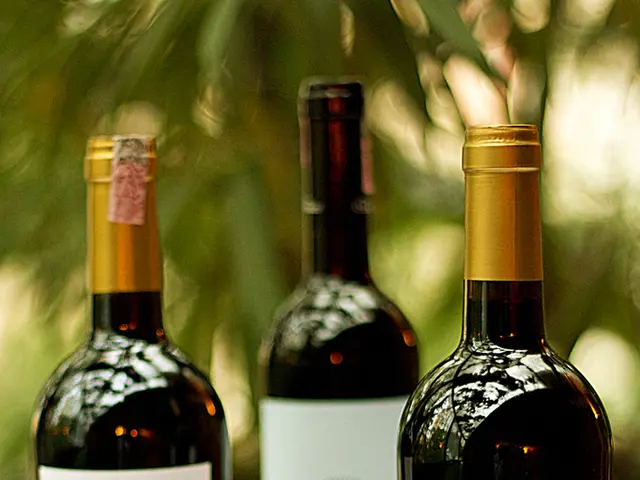 PacBio reveals strategy to enhance methylation identification in HiFi technology