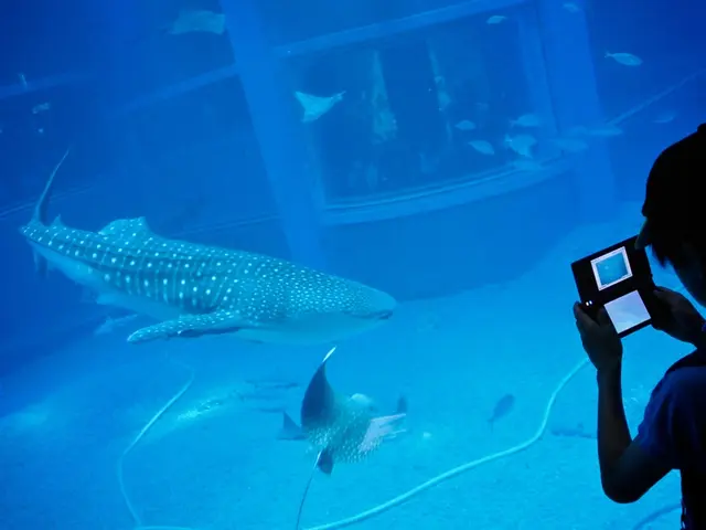 Underwater Scenarios for Close-Up and Wide-Angle Photography on Mac Computers