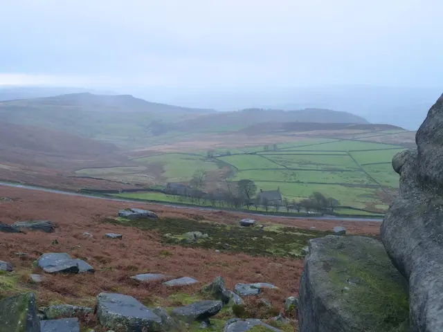 Boost in MTN Ghana's First-Half Profits: 56% Gain Attributed to Data Services and Financial...