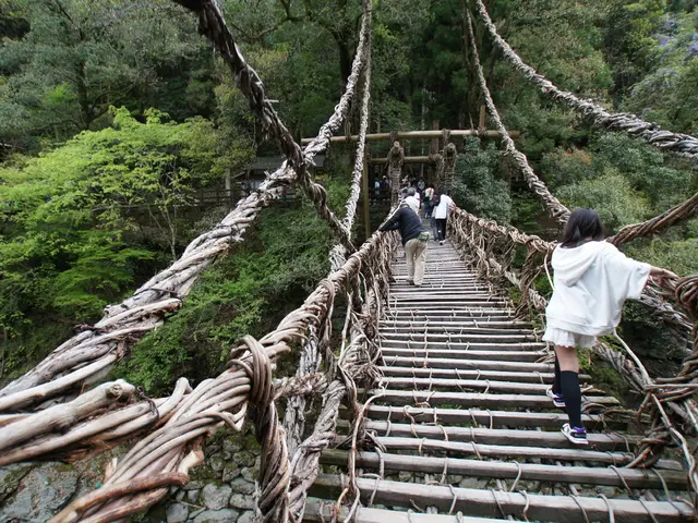 Regulation Implementation Acts will be established, outlining the application guidelines for this...