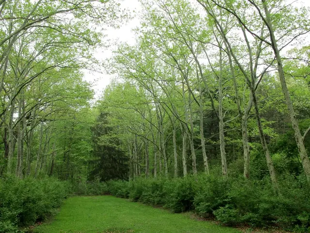 Desert Gathering Resumes in Ordos, Spotlighting Green Technologies Innovation