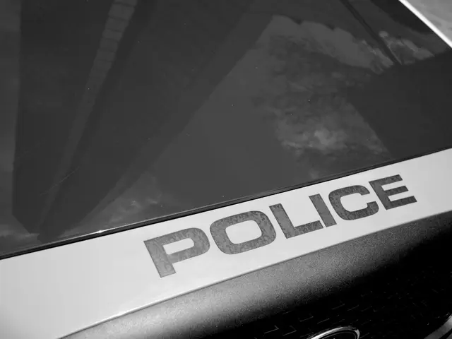 Enhancing Law Firm Operations: Crafting Superior Systems and Procedures