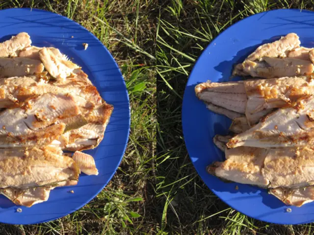 Exploring the Culinary Horizon: An In-depth Insight into the Flavor and Innovation of...