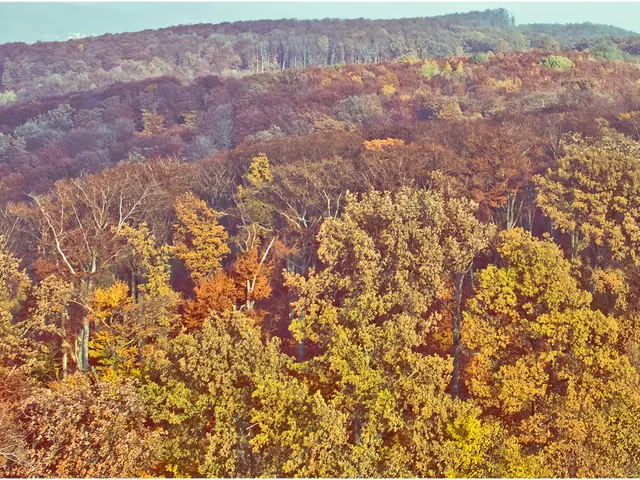 Microsoft Strikes Agreement for 4.8 Million Carbon Reductions Via Enhanced Forestry Management...