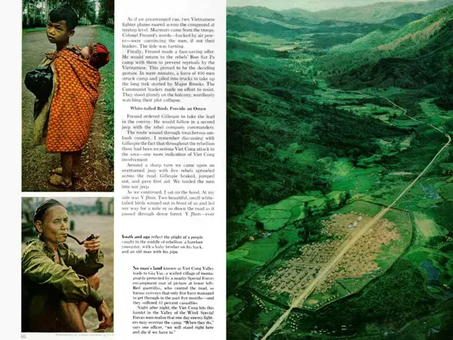 Exploring the Influence of Transfer Learning in Artificial Intelligence