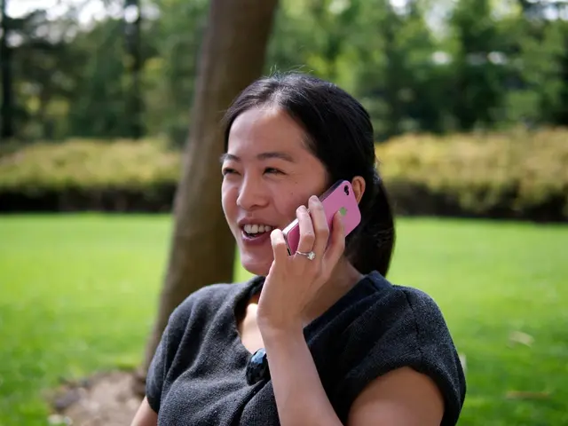 Venturing the Distance: The Significance of Video Chats in Sustained Romances