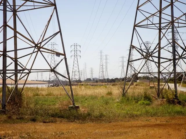 Enhancing Various Cellular IoT Solutions Through On-Demand Virtualised Packet Gateway Services