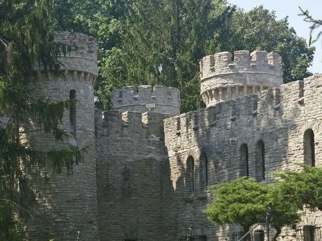 Cybersecurity specialists issue alerts about impending cyber assaults focusing on critical Fortinet...