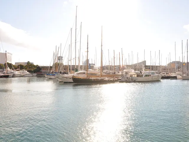 Plume Networks combines operations with Allora Network