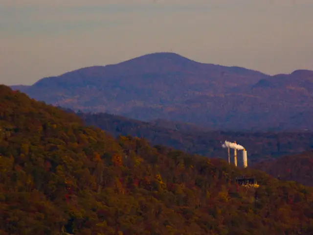 Sales of Tesla vehicles in Australia plummet following a 2-month period of growth
