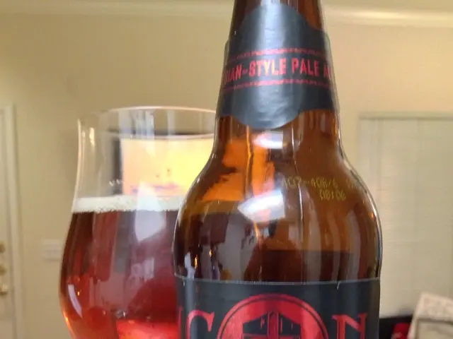 The Potential Decline of PayPal's Influence Approaching