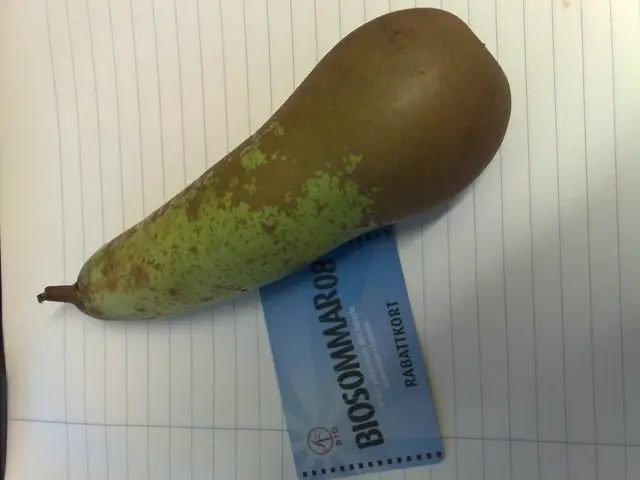 UK Small Business Credit Card Platform Chooses GoCardless for Virtual Recurring Payment...