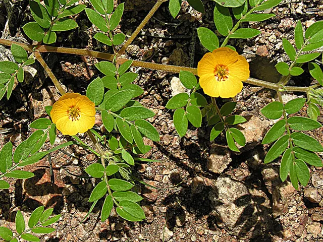 Simple Method for Grasping Git Concepts