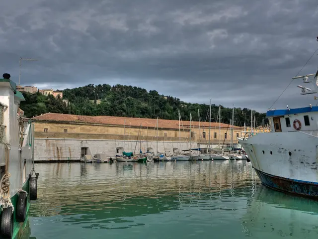 Analysis of IHR 20: In-depth Examination of the Document